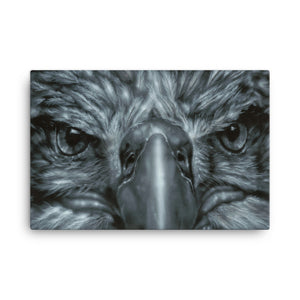 Eagle Eyes on 24"x36" Canvas
