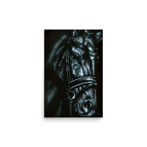 Horse Photo paper poster
