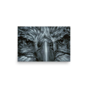 Eagle Eyes Photo paper poster