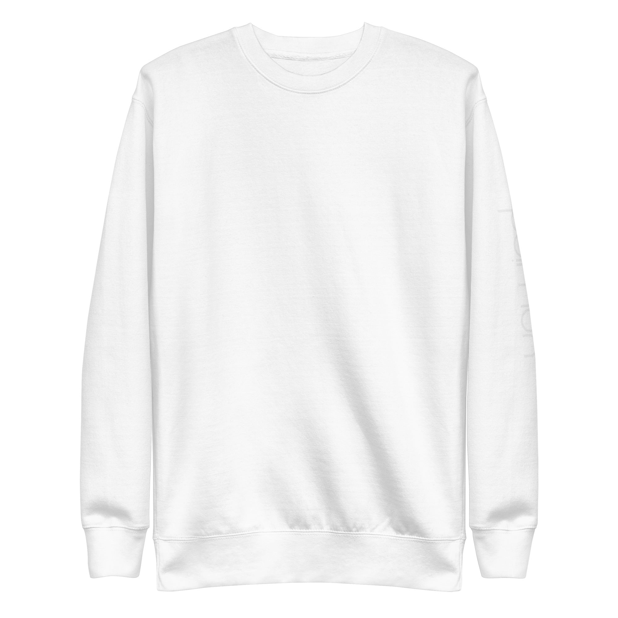 Unisex Premium Sweatshirt BRAINWASH or WEIRD