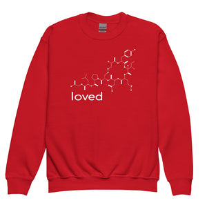 Youth crewneck sweatshirt LOVED