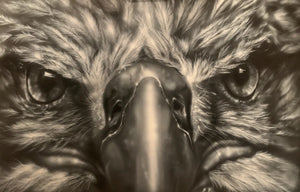 Eagle Eyes Gallery Canvas